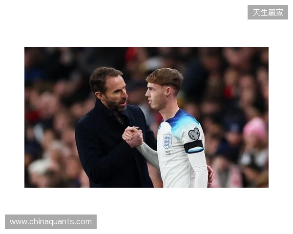 图赫尔谈10号位:一阶段考察帕尔默&福登;二阶段贝林&罗杰斯 图赫尔谈10号位:一阶段考察帕尔默&福登;二阶段贝林&罗杰斯